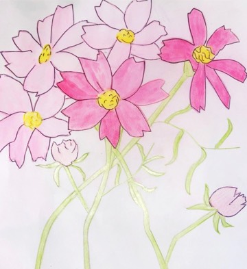 Student Artwork